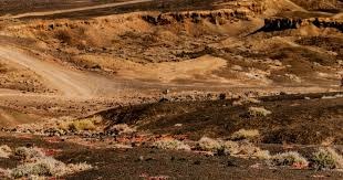 破案了！北京男篮输球原因曝光，徐利民带队伤兵满营，球迷：下课